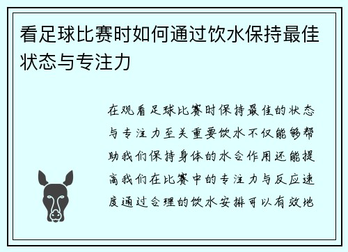 看足球比赛时如何通过饮水保持最佳状态与专注力