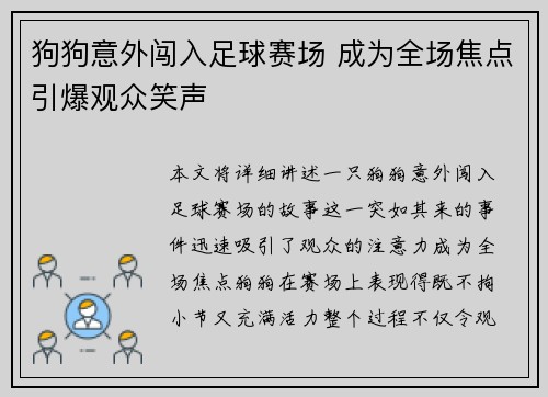 狗狗意外闯入足球赛场 成为全场焦点引爆观众笑声