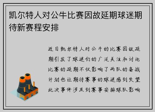 凯尔特人对公牛比赛因故延期球迷期待新赛程安排