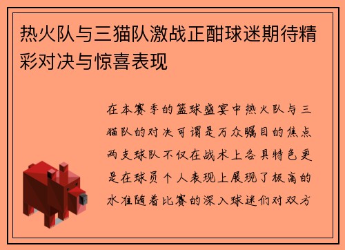 热火队与三猫队激战正酣球迷期待精彩对决与惊喜表现