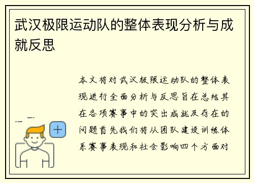 武汉极限运动队的整体表现分析与成就反思